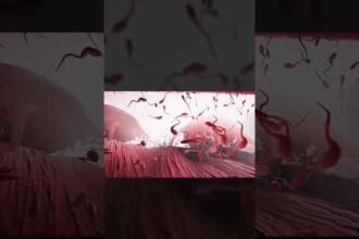 Become: A Sperm’s Journey survivor za spermii? Či čistě edukační hra? - Herní portál Ráj Hráče