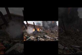 Epic Games Store hry zdarma - cozy hra, FPS z WW1 a plošinovka na mobil - Herní portál Ráj Hráče