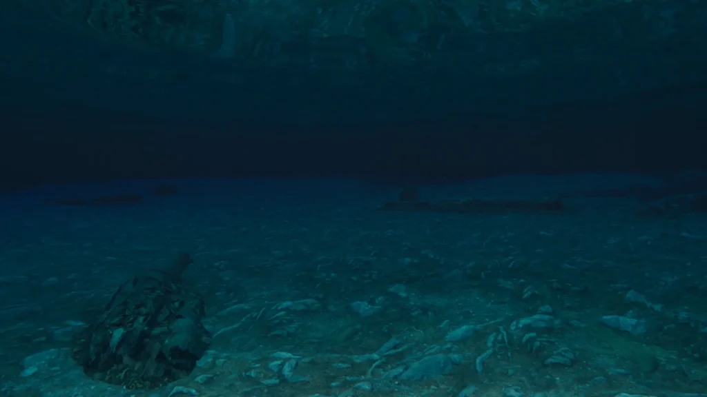 Rybářská hra na PC MLF: Pro Catch