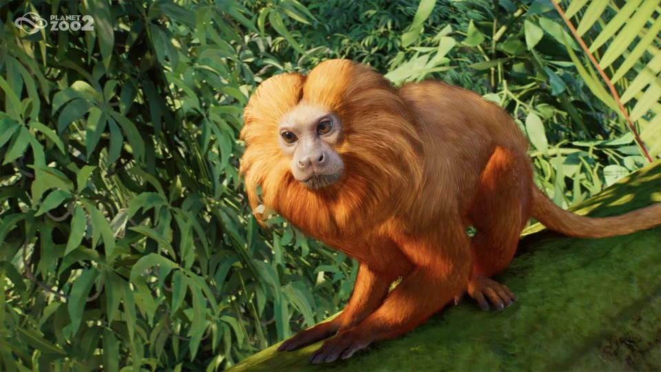 Planet Zoo 2