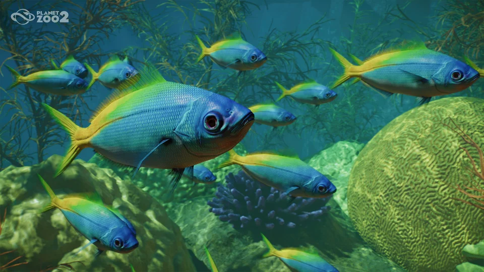 Planet Zoo 2
