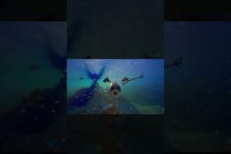 Největší survival hit roku?! Subnautica 2 překonává rekordy 🔥 - Herní portál Ráj Hráče