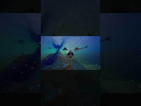 Největší survival hit roku?! Subnautica 2 překonává rekordy 🔥 - Herní portál Ráj Hráče